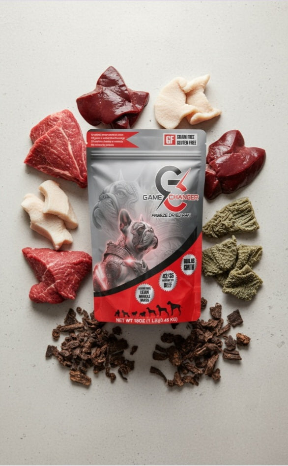 Game Changer Freeze-Dried Raw - 1 lb. Beef