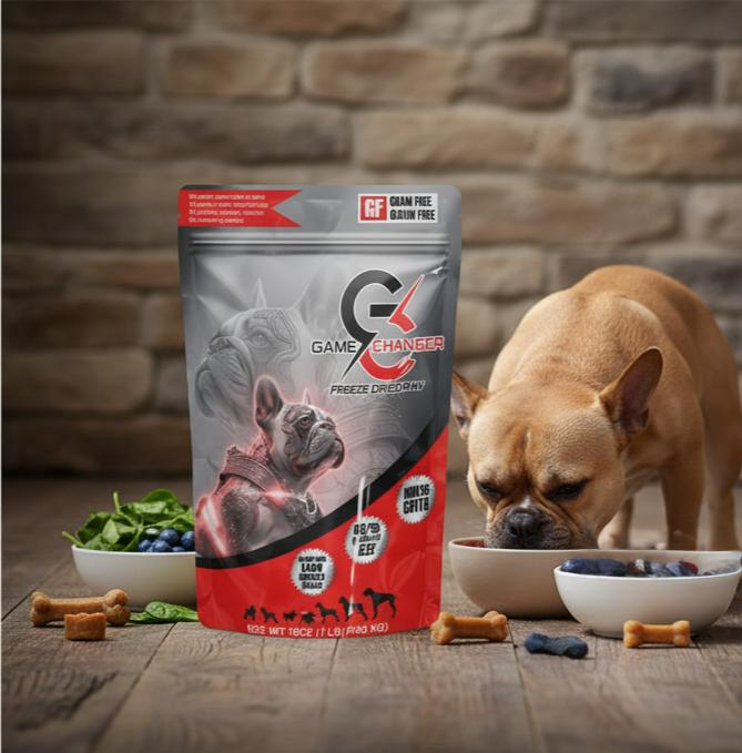 Game Changer Freeze-Dried Raw - 1 lb. Beef